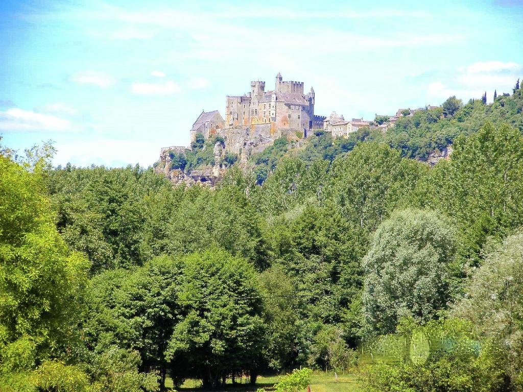 Charming Gite With Pool In Vezac Beynac-et-Cazenac Eksteriør bilde